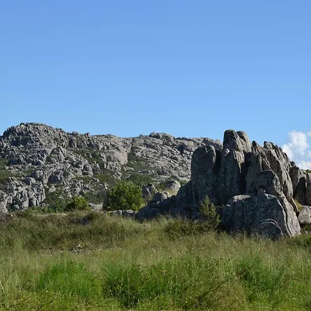 La Viola Del Limbara