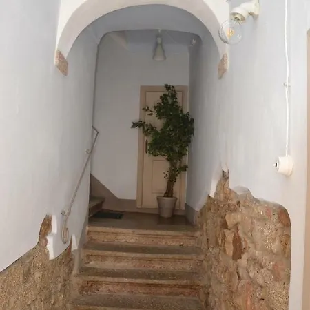 La Viola Del Limbara *